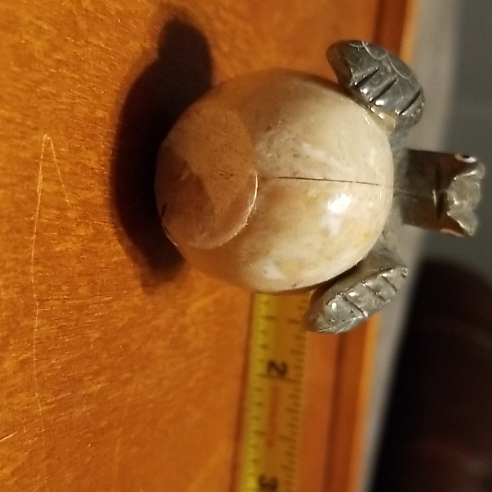 Small hatching turtle - Picture 4 of 4
